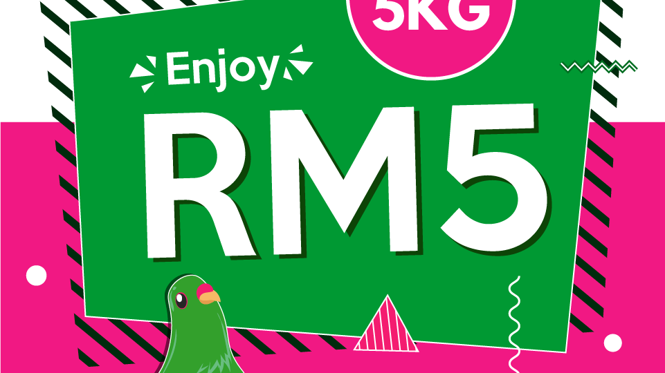 RM5_with_pgeon-02